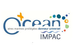 ocean-impac